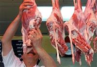افزایش ۱۳ درصدی عرضه گوشت قرمز منجمد وارداتی در آذر ماه