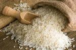 فسادی در واردات برنج نداشتیم/امسال کمتر از ۸۰۰هزارتن برنج وارد شد
