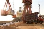 واردات یک میلیون و ۷۵۰ هزار تن گندم از بندرامام به کشور
