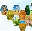 برنامه‌های گم شده در وزارت جهاد کشاورزی