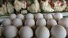 ارزآوری صادرات تخم مرغ به ۱۳۰ میلیون دلار رسید