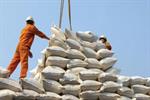 اختلال در صادرات برنج هند به دلیل کمبود قطار باری