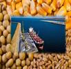 فرصت استثنایی برای واردکنندگان نهاده و کالاهای اساسی
