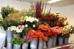 نمایشگاه گل و گیاه و صنایع دستی در اهواز برگزار می‌شود