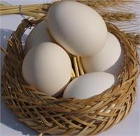 انکار مسئولان و پافشاری مرغداران/ واردات تخم مرغ انجام می شود؟