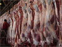 گوشت ارزان می شود؟ | کاهش مصرف سرانه گوشت