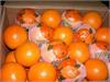 جزئیات توزیع میوه شب عید/ قیمت سیب و پرتقال اعلام شد