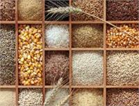 کاهش قیمت گندم و غلات در بازار جهانی/ قیمت گندم نصف شد