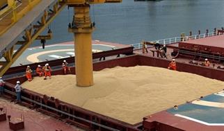 حدود ۲۸۶ هزار تن گندم در خوزستان حمل شد