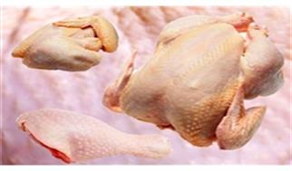 مرغ گرم ۱۵ هزار تومان کمتر از نرخ مصوب عرضه می شود