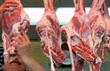 ثبات ۴ماهه قیمت محصولات گوشتی در پی ثبات نسبی قیمت مرغ| کاهش زایش بره و گوساله امسال چقدر جدی است؟