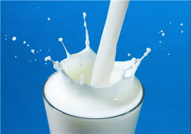 شیر - لبنیات - Milk 2