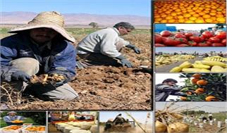 قیمت خرید تضمینی محصولات اساسی به زودی ابلاغ می‌شود