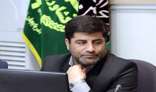 اعلام قیمت جدید گندم تا ده روز دیگر