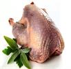قیمت انواع گوشت بوقلمون بسته بندی و قطعه بندی اعلام شد