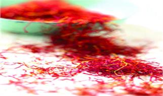 فرش قرمز برای قاچاقچیان زعفران/ سهم بزرگترین تولیدکننده زعفران در صادرات چقدر است؟