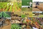 سریال تکراری مازاد یا کاهش تولید محصولات کشاورزی
