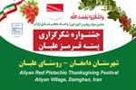 اولین جشنواره شکرگزاری «پسته قرمز علیان»؛ جشن رنگ، عطر و طعم در قلب دامغان | پیوند میراث فرهنگی، کشاورزی و گردشگری