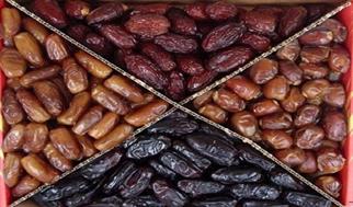 پاویون تخصصی خرما در نمایشگاه اگروفود؛ گامی بزرگ برای ارتقای تجارت، صادرات و شبکه‌سازی صنعت خرمای ای...