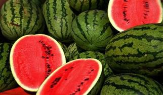 میانگین غلظت نیترات در هندوانه‌های ایران کمتر از ۱۰ میلی‌گرم بر کیلو گرم است