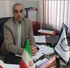 قیمت گوسفند زنده 30 درصد کاهش یافت؛ گوشت ارزان نشد