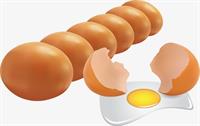 تخم‌مرغ ارزان شد/ پایان تب ۲۰ هزار تومانی