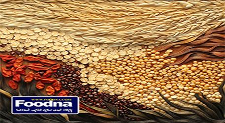 ثبت‌سفارش ذرت دامی و جو آغاز شد