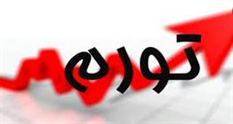 نرخ تورم کالاهای وارداتی و صادراتی اعلام شد