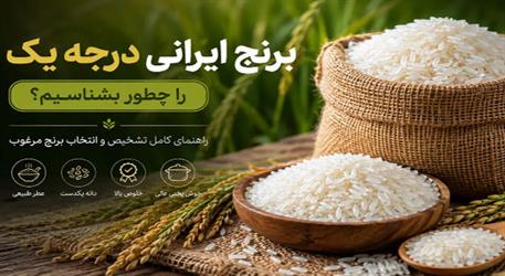 برنج درجه یک ایرانی را چطور بشناسیم؟ معیارهای کیفیت