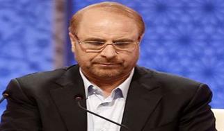 قالیباف صحبت‌های سخنگوی دولت درباره «سبد کالا» را رد کرد