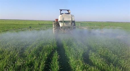 خطر پنهان روی محصولات کشاورزی؛ زنگ هشدار درباره یک قارچ‌کش پرمصرف در کشاورزی