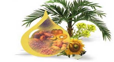ثبت‌سفارش روغن خام و روغن پالم آغاز شد