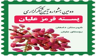 دومین جشنواره پسته قرمز علیان؛ تلاقی سنت، برکت و هنر در قلب دامغان