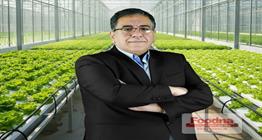 بررسی تولید گلخانه‌ای در ایران؛ ظرفیت بالا، آموزش کم و میانگین مساحت نیم هکتار