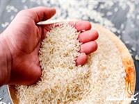 خداحافظی برنج با ارز ترجیحی بازار را به تعادل می‌رساند؟