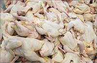 کاهش قیمت مرغ طی روز‌های آتی در بازار