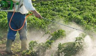 قیمت تولیدی سموم کشاورزی تا ۶۰درصد افزایش یافت | پیش بینی رشد ۵درصدی بازارجهانی در۲۰۲۶