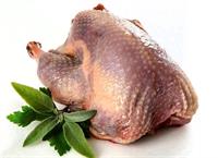 وضعیت تجارت جهانی گوشت بوقلمون؛ ایران در جایگاه نوزدهم واردات قرار دارد