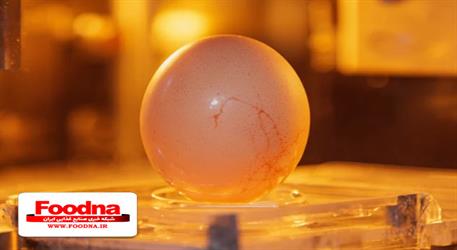 رشد شدید قیمت تخم‌مرغ پس از حذف ارز ترجیحی / نرخ درب کارخانه به ۱۵۰ هزار تومان رسید
