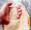 آسیب ۳۵۰ کانتینر برنج در بندر شهید رجایی