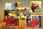 ۱۷۰ همت منابع مالی برای توسعه صنایع تبدیلی نیاز است