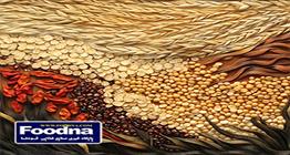 ثبت‌سفارش ذرت دامی و جو آغاز شد
