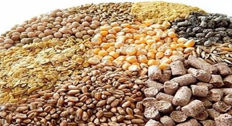 دو روایت متناقض از تخلف ۴۵ هزار میلیارد تومانی نهاده دامی