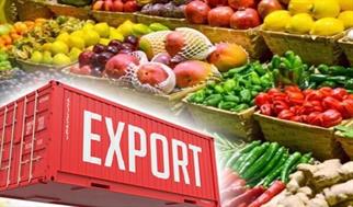 کاهش چشمگیر عدم انطباق محموله‌های صادراتی ایران به روسیه