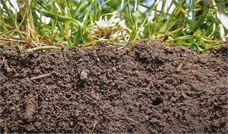 آب، عامل ۷۰ درصد فرسایش خاک کشور است