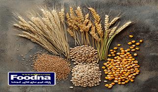 چرا سیب‌زمینی و غلات نمی‌توانند جایگزین یکدیگر در رژیم غذایی سالم باشند؟