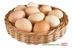 نظام رتبه‌بندی کیفی تخم‌مرغ در بسته‌بندی‌ها تثبیت و اجرایی شد