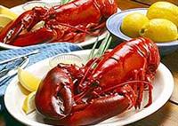 عرضه خرچنگ‌، هشت‌پا و صدف‌ در برخی رستوران‌ها | تبلیغ برای حرام‌های گران‌قیمت