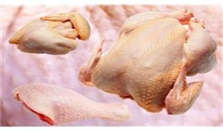 قیمت مصوب مرغ برای مصرف کننده ۱۰۵ هزارتومان