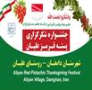 اولین جشنواره شکرگزاری «پسته قرمز علیان»؛ جشن رنگ، عطر و طعم در قلب دامغان | پیوند میراث فرهنگی، کشا...